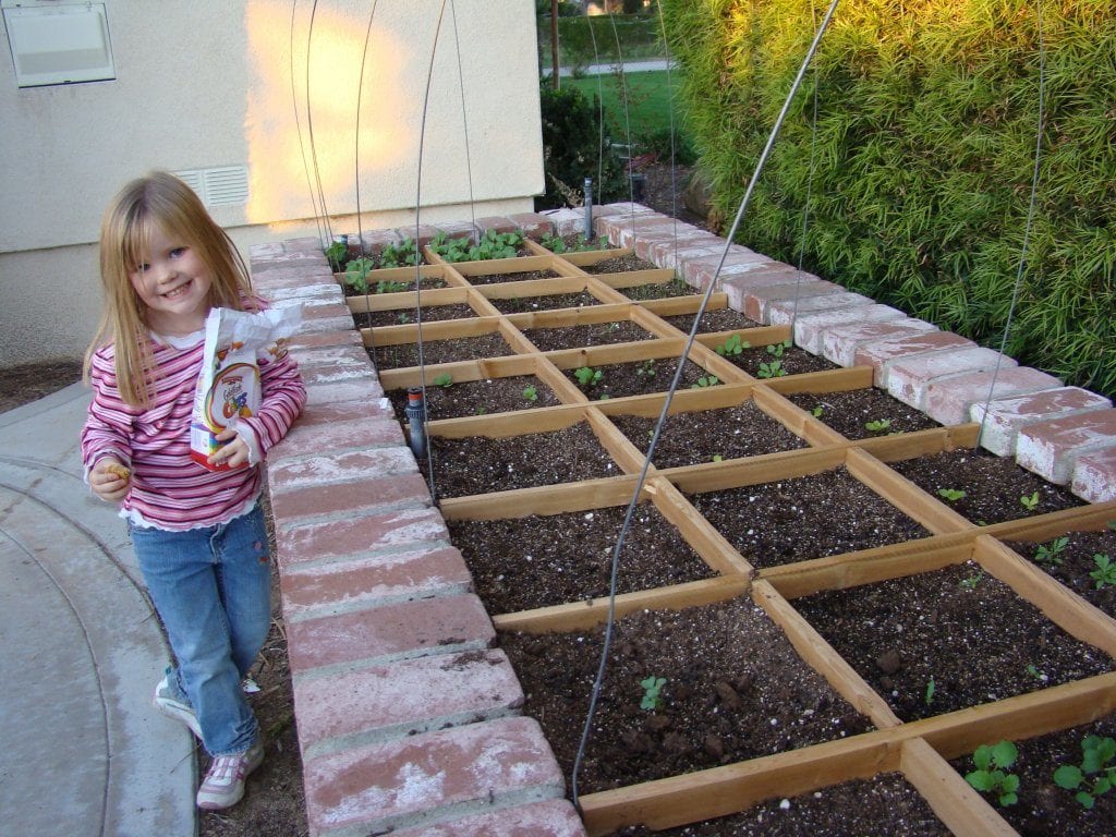 How To Grow Your Own Food